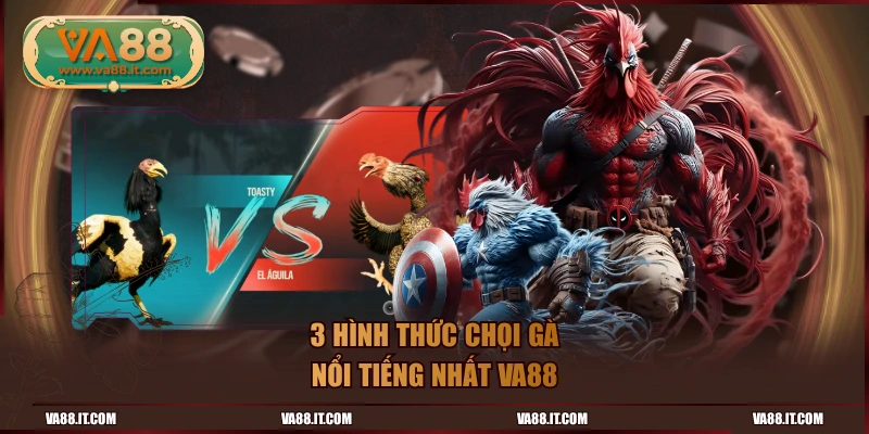 3 hình thức chọi gà nổi tiếng nhất VA88